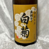 奥能登の白菊