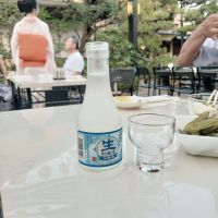 白鹿