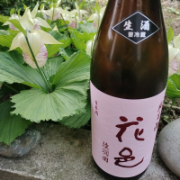 
            花邑_
            tamさん
