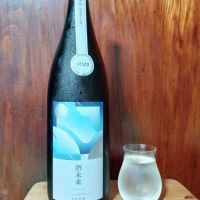総乃寒菊