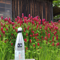 
            雪の茅舎_
            tamさん