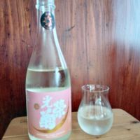 光栄菊