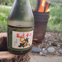 新潟県の酒