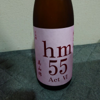 hm55