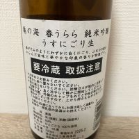 亀の海のレビュー by_JAKS