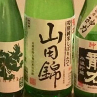 
            龍力_
            HIKOEMONさん