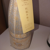 新政