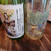 徳島県の酒