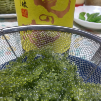 亀の海のレビュー by_oji_boy53