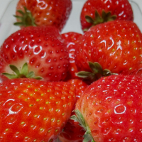 SGのレビュー by_oji_boy53