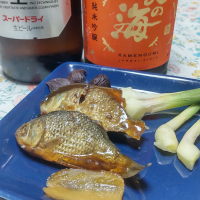 亀の海のレビュー by_oji_boy53