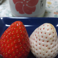 月吉野のレビュー by_oji_boy53