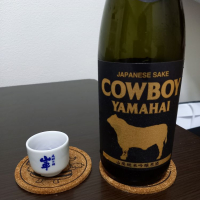 COWBOY YAMAHAIのレビュー by_ひかがみ