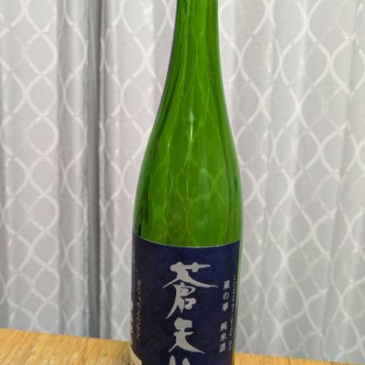 蒼天伝のレビュー by_ryu