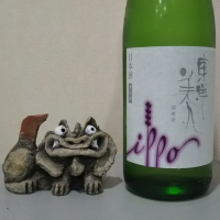 山口県の酒