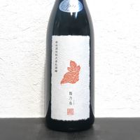 陽乃鳥