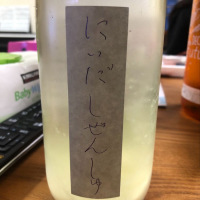 
            にいだしぜんしゅ_
            satringerさん