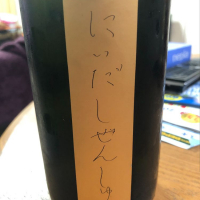 
            にいだしぜんしゅ_
            satringerさん