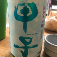 
            甲子_
            satringerさん