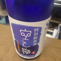 高知県の酒