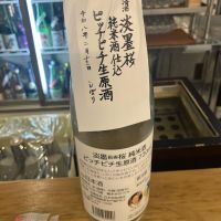 淡墨桜