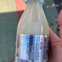 白川郷のレビュー by_hio