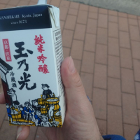 
            玉乃光_
            hioさん