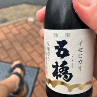 五橋