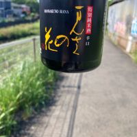 まんさくの花