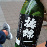 梅錦
