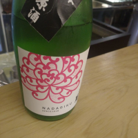 灘菊