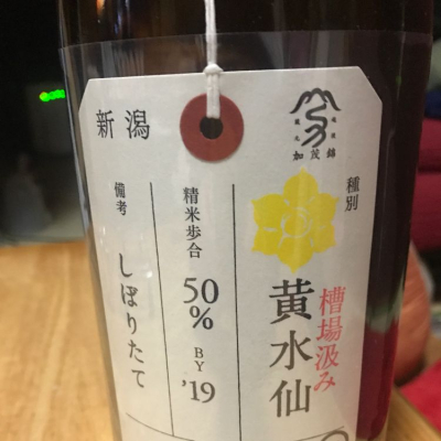 新潟県の酒