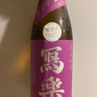 
            写楽（冩樂）_
            青柳さん