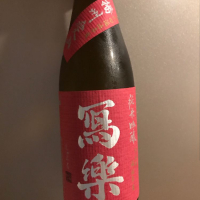 
            写楽（冩樂）_
            青柳さん