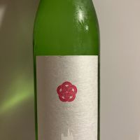 山の井
