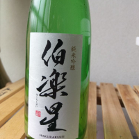 伯楽星