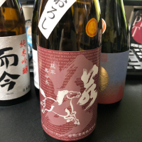 若駒