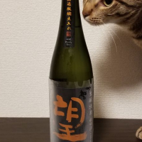 
            望_
            すめらぎやわらさん