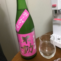 千葉県の酒