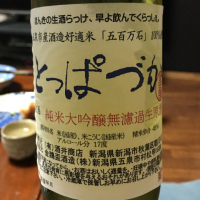 新潟県の酒