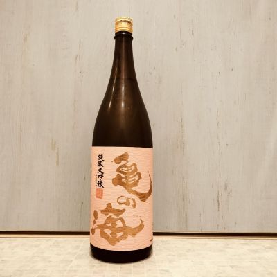 亀の海のレビュー by_str