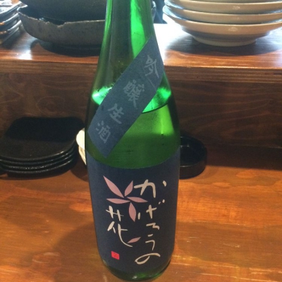 のレビュー by_しん