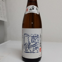 新潟県の酒