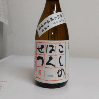 新潟県の酒