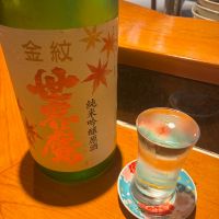 金紋世界鷹