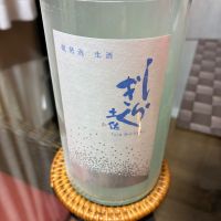土佐しらぎく