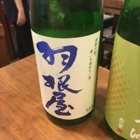 
            羽根屋_
            mshogoさん