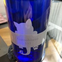 
            十九_
            mshogoさん