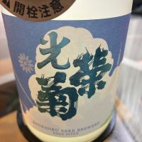 光栄菊