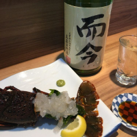 
            而今_
            mshogoさん